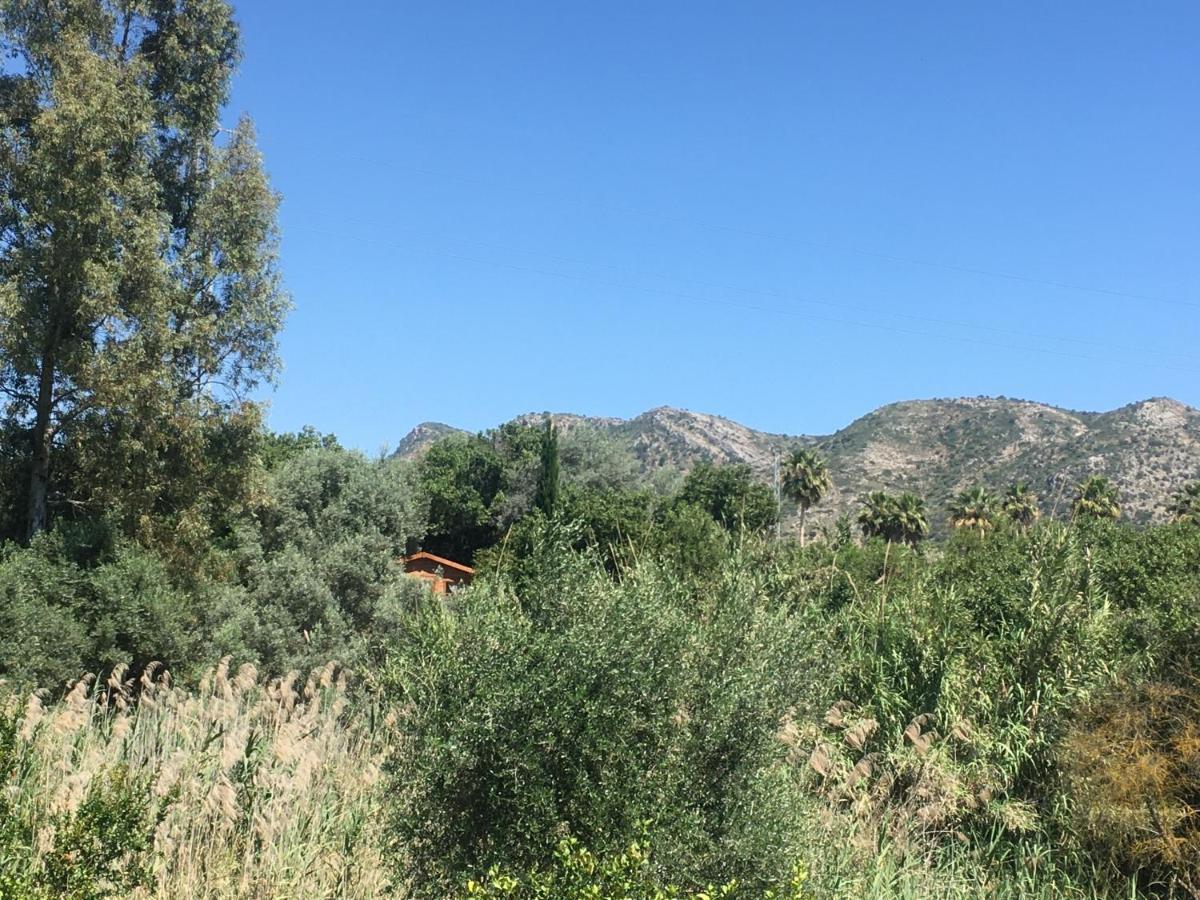 Finca Fahala Cártama 외부 사진